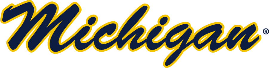 Michigan Wolverines 2016-Pres Wordmark Logo v2 diy DTF decal sticker